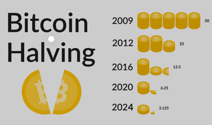 Understanding the Crypto Halving Process