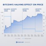 Understanding the Crypto Halving Process