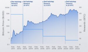 Understanding the Crypto Halving Process