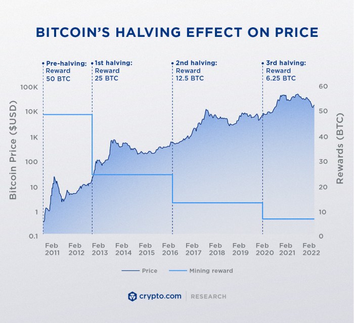 Understanding the Crypto Halving Process